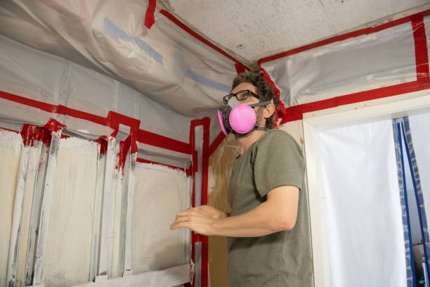 Environmental Consulting for Mold Prevention in Hernando, FL