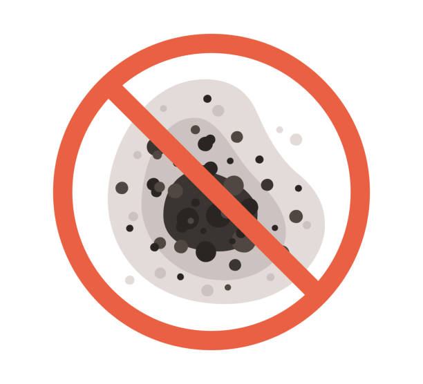 Hernando, FL Mold Removal Company