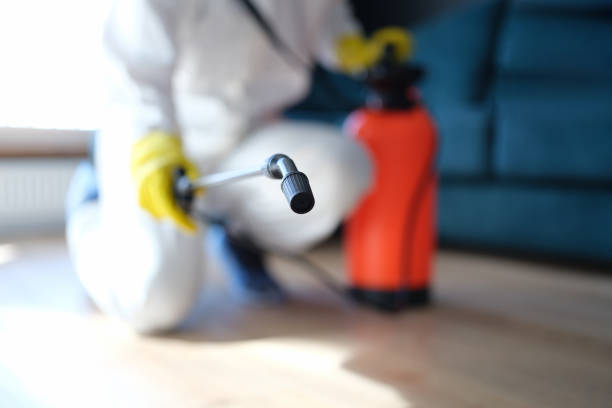 Best Post-Remediation Verification Testing  in Hernando, FL