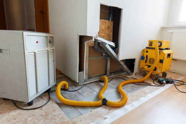 Best Crawl Space Mold Remediation  in Hernando, FL