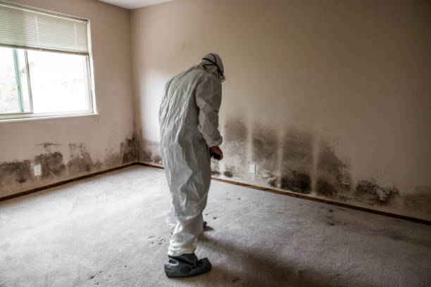 Best Crawl Space Mold Remediation  in Hernando, FL