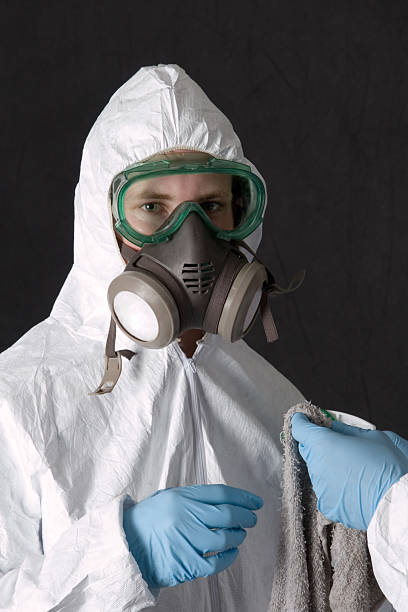 Best Mold Odor Removal Services  in Hernando, FL